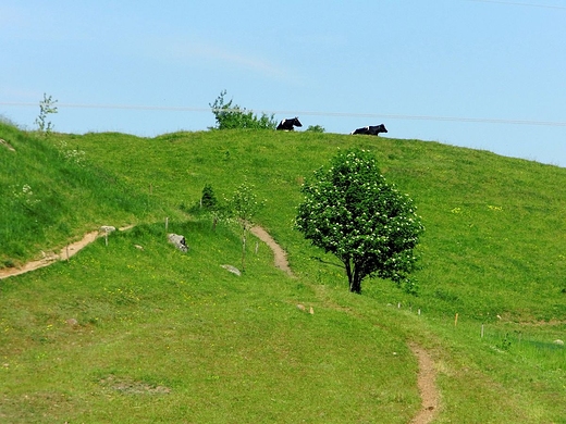 Suwalski Park Krajobrazowy