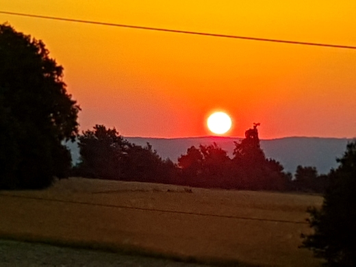 SOTOWSKIE SONECZKO WSTAJE