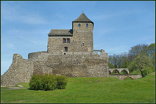 Krlewski Zamek w  Bedzinie