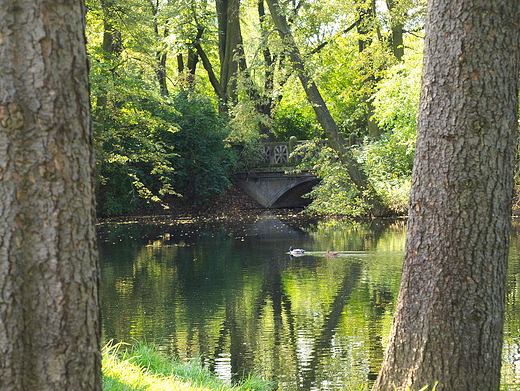 Warszawa, Park Skaryszewski