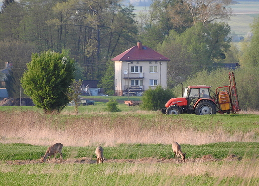 klimaty Majdanu