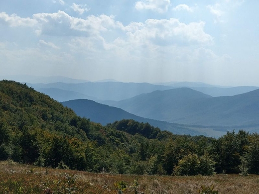 Bieszczadzka panorama