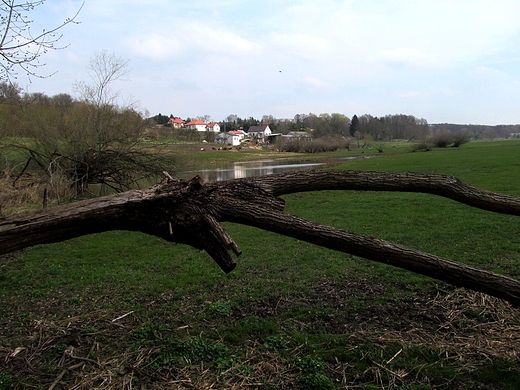 Osiedle nad starorzeczem