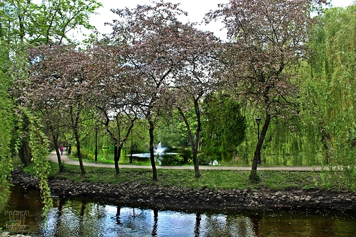 Park Ksit Pomorskich.