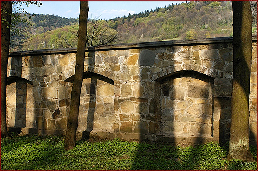 Zamek w Suchej Beskidzkiej - park zamkowy - fragment muru