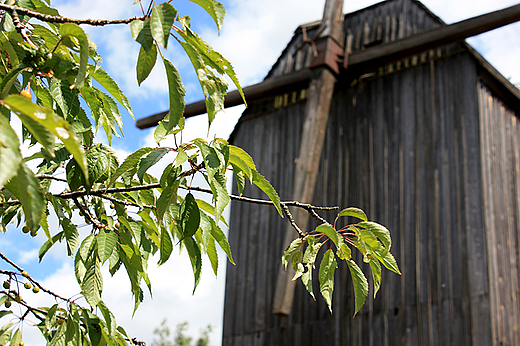 Wdzydze Kiszewskie - skansen