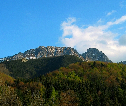 picy rycerz - Giewont