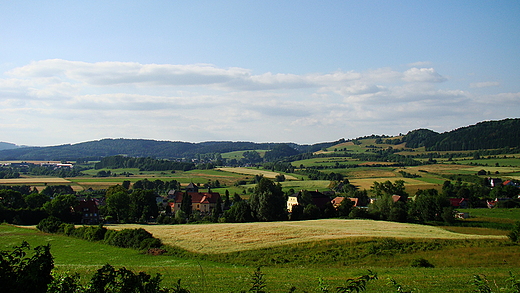 widok z gry parkowej