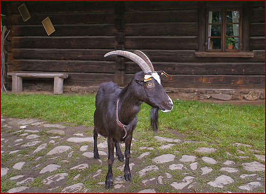 Grnolski Park Etnograficzny w Chorzowie