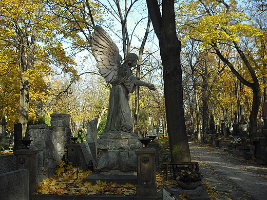 Warszawa. Stare Powzki.