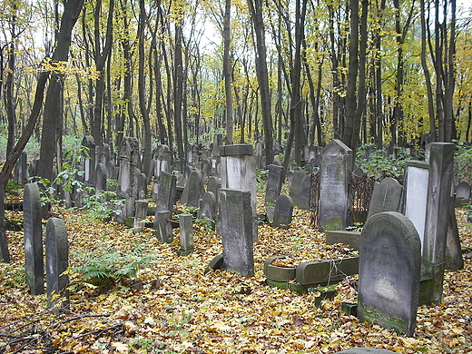 Warszawa. Cmentarz ydowski.