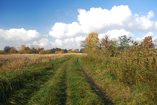 Okolice Goczakowic.