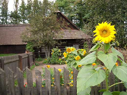 Wrzesie w skansenie