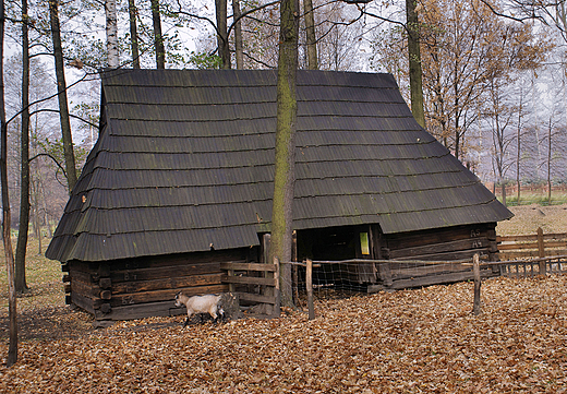 Skansen Zagroda Wsi Pszczyskiej w Pszczynie