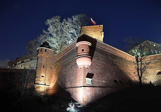 Wawel w dniu wita niepodlegoci