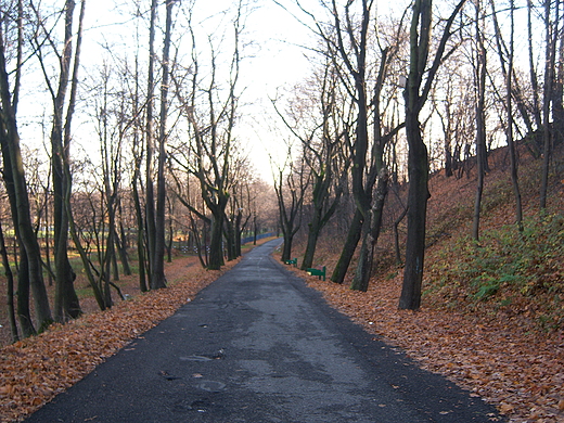 Park Promenada w Mysowicach