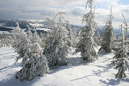 panorama w stron Czech