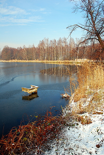 Staw rybny w pobliu Goczakowic.