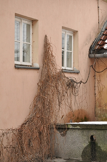 Okna.  Warszawska Starwka