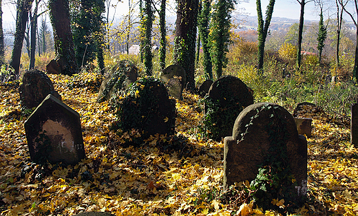 Cieszyn. Stary Cmentarz ydowski.