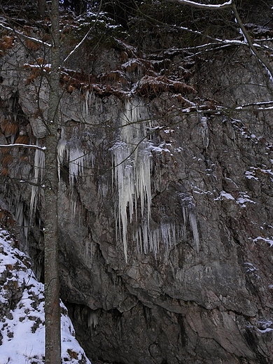 Sople w Dolinie Kocieliskiej