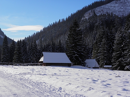 Bacwka w Dolinie Kocieliskiej