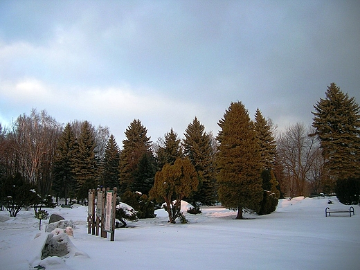 Chorzw.Widok w Zoo