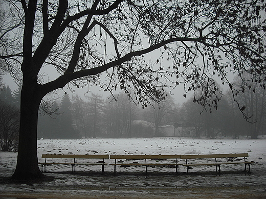 Warszawa. Park Skaryszewski.