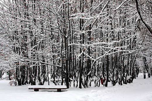 Zakopane