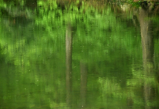 Tafla Mokrego Stawku. Stoki Babiej Gry