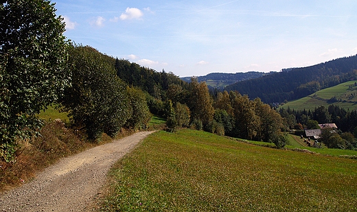 Beskid lski. Polna droga.