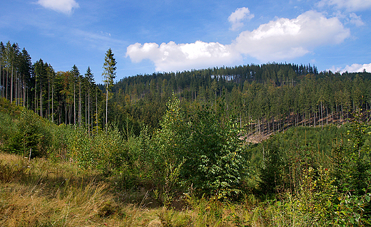 Beskid lski.