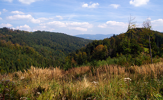 Beskid lski w okolicy Wisy.