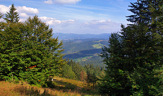 Widok na Beskidy spod schroniska na Stoku.