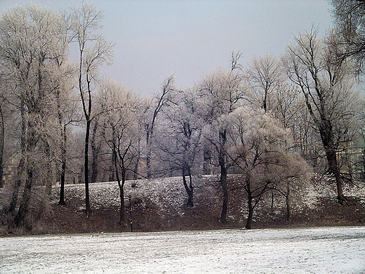 Park zamkowy