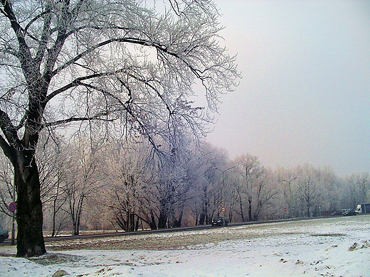 Park Zamkowy