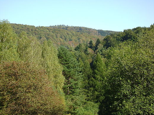 Beskid Niski- jesienny widok z Wotuszowej