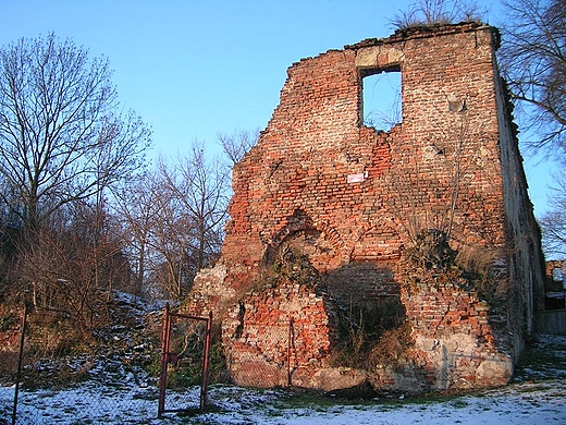 Ruiny Zamku Biskupw Wrocawskich w Ujedzie