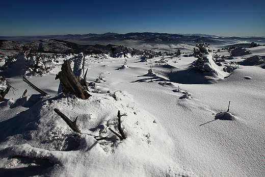 Baraniogrskie panoramy