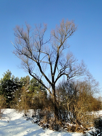 Okolice Marcinkowa