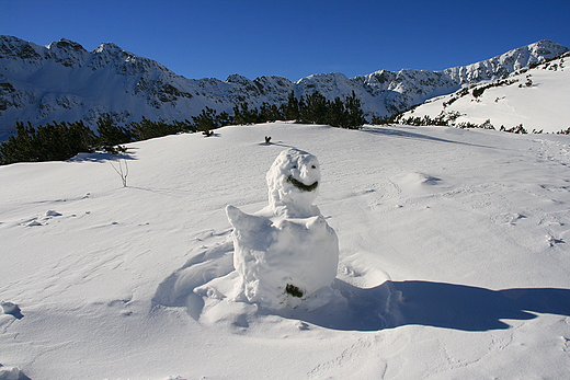 S ju wszdzie, od Batyku a po Tatry...