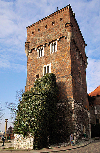 Wawel. Baszta Zodziejska.