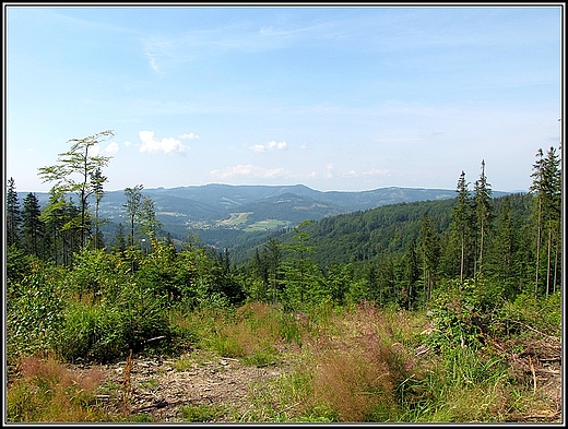 Panorama Beskidu lskiego.