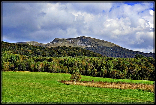 bieszczady, gra matka-tarnica