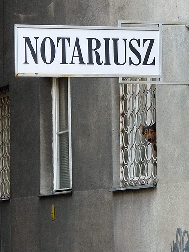 Notariusz