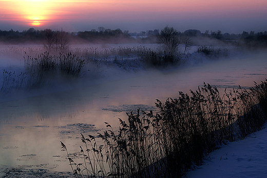 Parujca Narew. Podlasie