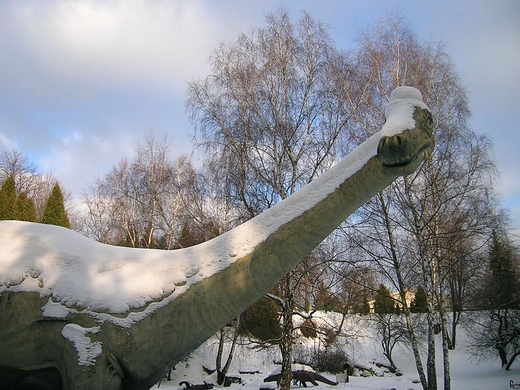 Zimowy umiech Dina w kotlinie dinozaurw.