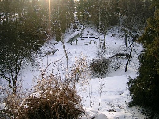 Skalna kotlina dinozaurw w chorzowskiem ZOO.