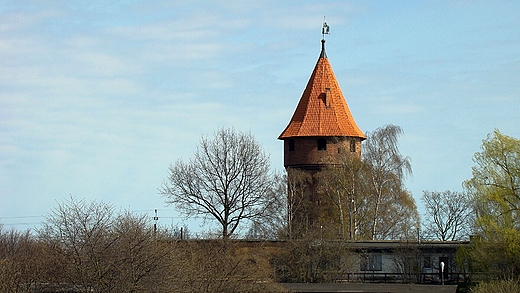 Malbork