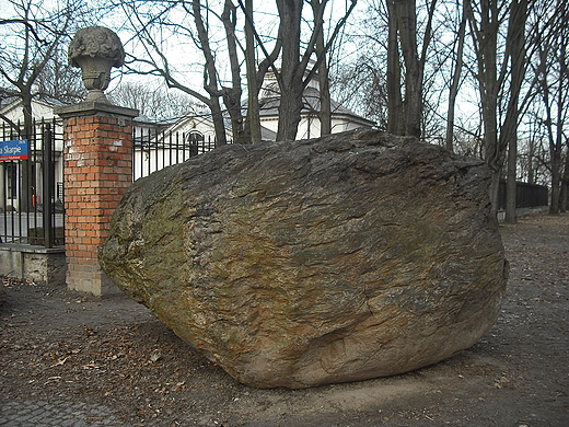 Warszawa. Gaz narzutowy przed Muzeum Ziemi.